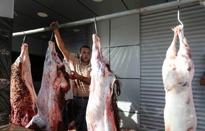 国外牲宰节现场:杀牛宰羊是常态,杀骆驼你没见过吧?