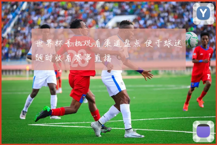 世界杯手机观看渠道盘点 便于球迷随时收看赛事直播