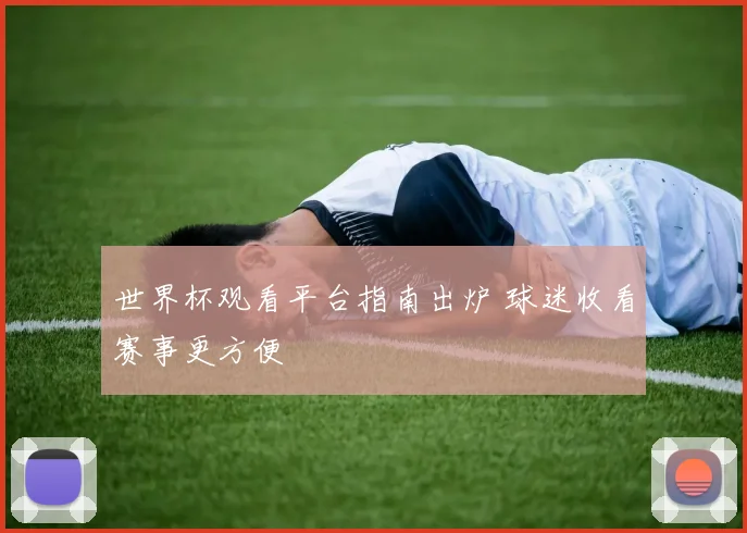 世界杯观看平台指南出炉 球迷收看赛事更方便