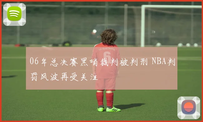 06年总决赛黑哨裁判被判刑 NBA判罚风波再受关注