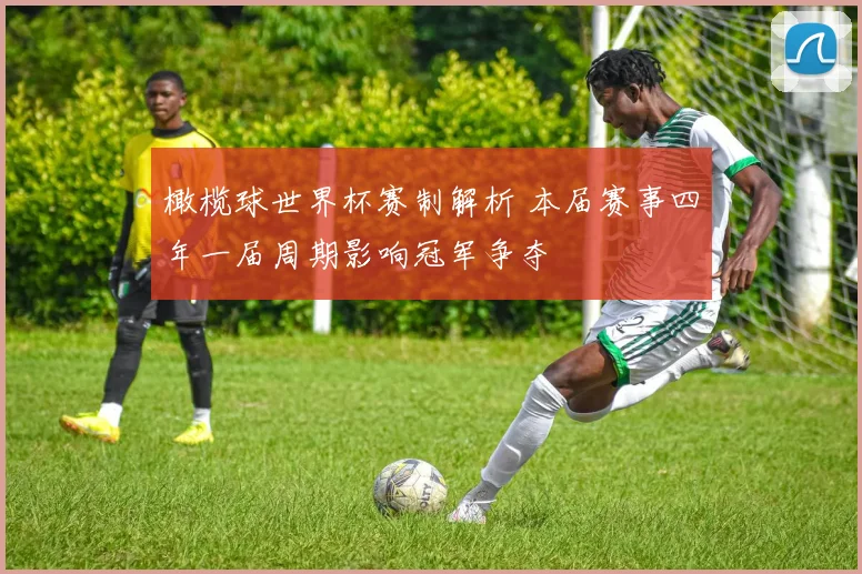 橄榄球世界杯赛制解析 本届赛事四年一届周期影响冠军争夺