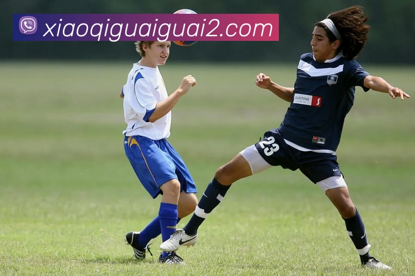 leyu乐鱼官方官网APP 封面图